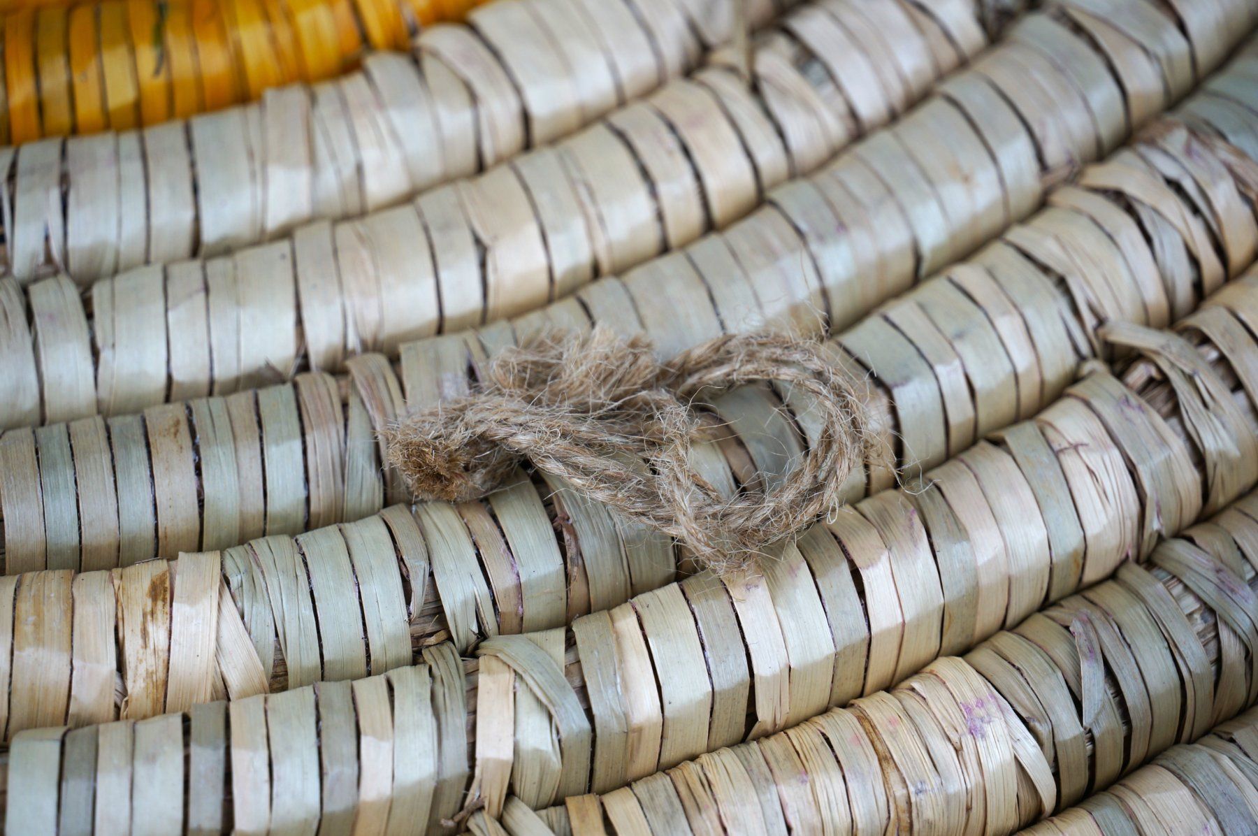 Assiettes: Riese Raffia Wandteller 27" – D'occasion à Rüti ZH par Restwert_Rueti_ZH 3