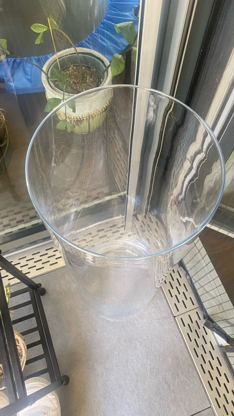 Vasi & Recipienti: Glasvase 80 cm hoch – Usato da Obfelden venduto da Lia-Lia 1