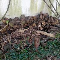 Brennholz / Kaminholz,    in Fehraltorf, alle muss weg