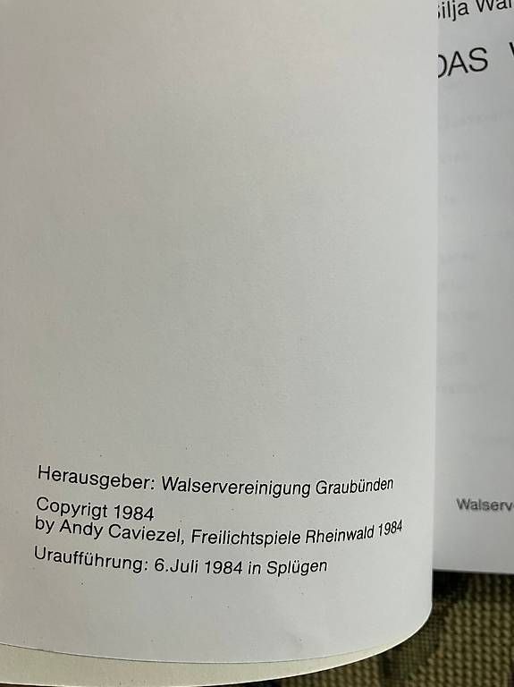 Libri: Silia Walter das Walser Schiff ...Versand 10.- – Nuovo (secondo la descrizione) da Pfäffikon ZH venduto da Einarrolf 1