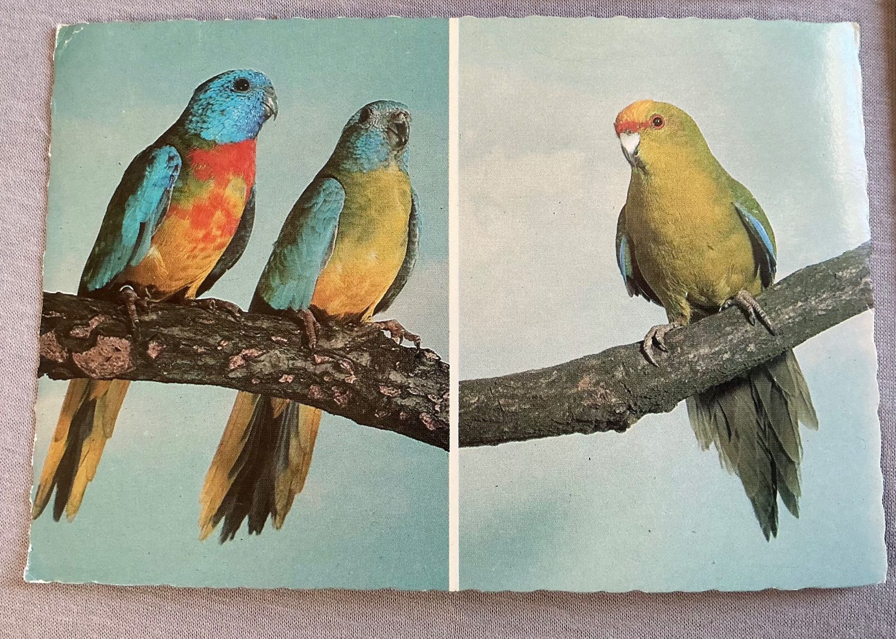Cartes postales: Postkarten Ansichtskarten von Horst Müller Braunschweig ung. – D'occasion à Stettlen par togram4 2