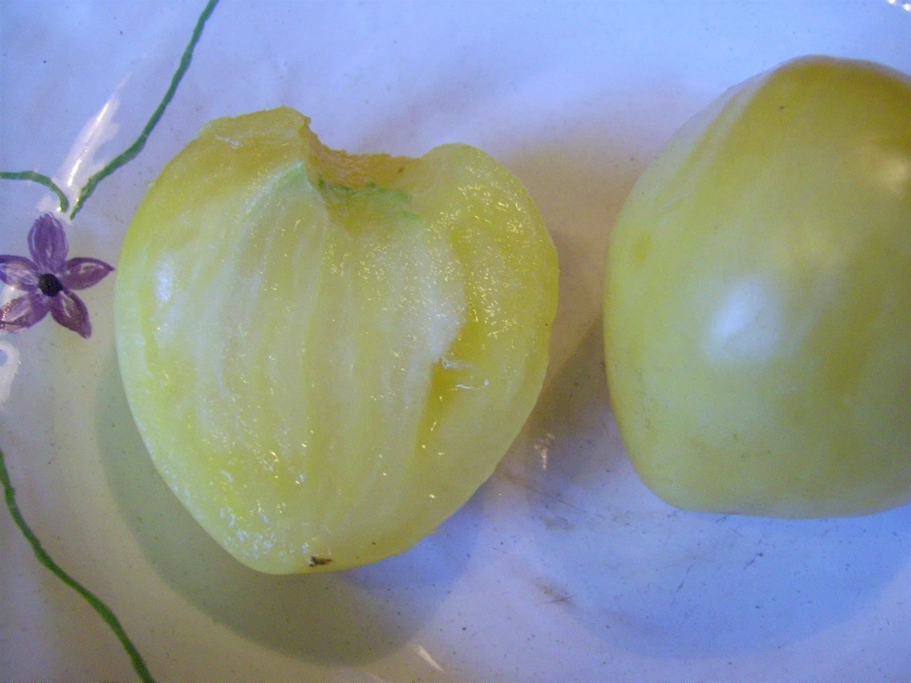 Piante & sementi: Tomate coeur de boeuf blanche  RARE  3g – Nuovo (secondo la descrizione) da Bremblens venduto da FIBONACCI369 2