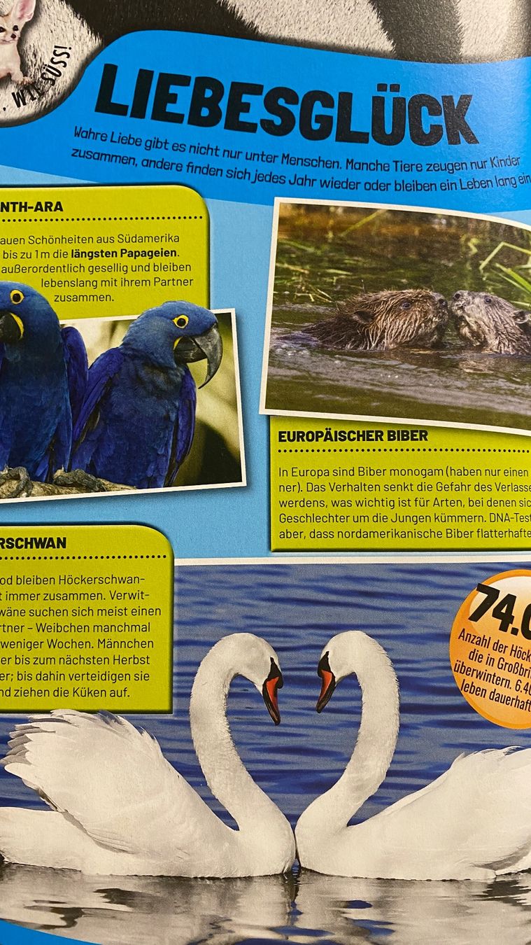 Libri: Guinness World Records - Wilde Tiere – Usato da Dussnang venduto da trooper479 2