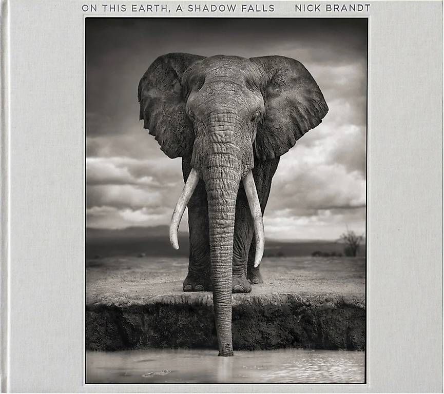 Libri: Nick Brandt "On This Earth, A Shadow Falls" édition signée – Nuovo (secondo la descrizione) da Gland venduto da 35t_fky9