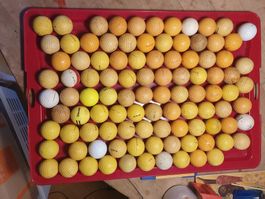 100 Stk Golfbälle Gebrauchsspuren Lot 2