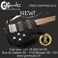 Basse Schecter 4 cordes pour le métal