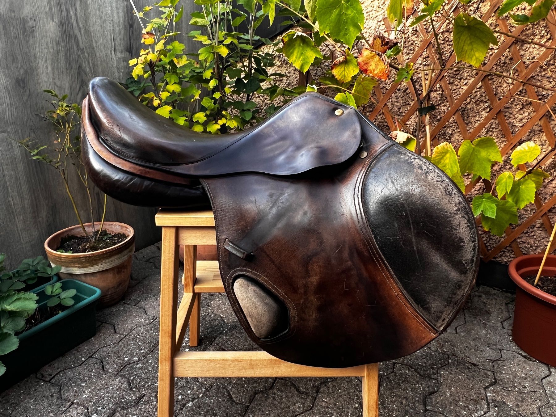 Selle & Accessori: Sattel – Usato da Oetwil am See venduto da Katami7 1