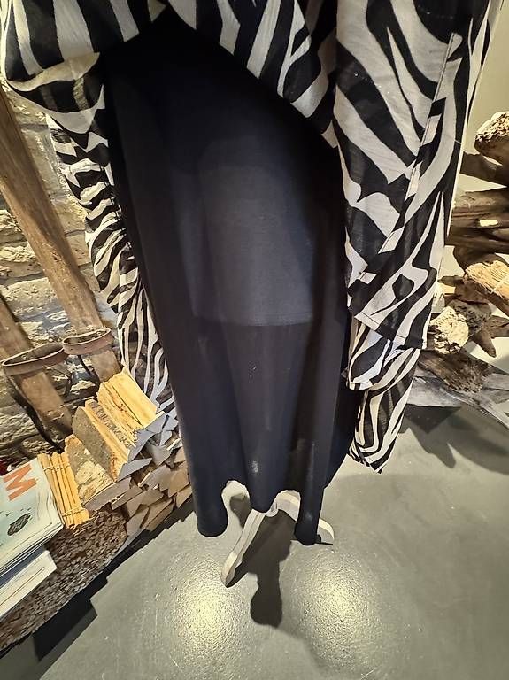 Vestiti: Kleid Zebra Grösse 44 – Usato da Schönenberg ZH venduto da Maieriisli68 2