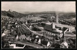 Wildegg, Ortsansicht mit Fabrikanlagen