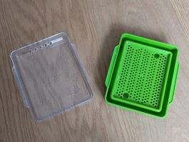 Kresse Anzucht Set, grün