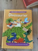 Antwortbuch Dinosaurier, Klappenbuch