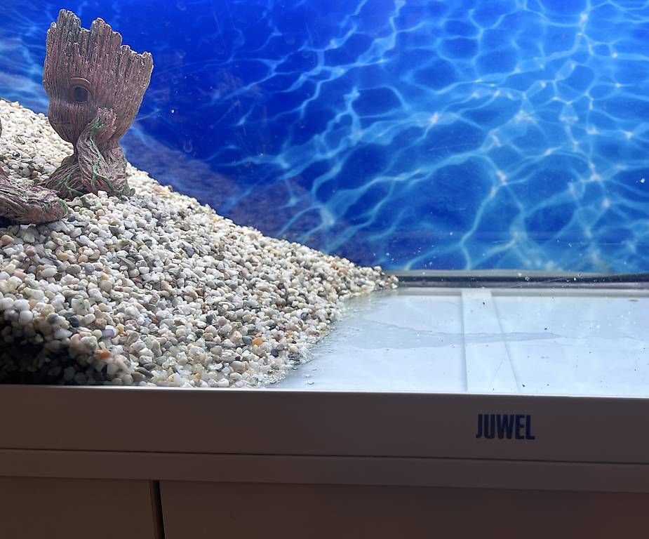 Acquari: Aquarium – Usato da Wichtrach venduto da sefom 1