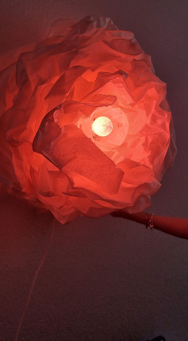Lampen: Deko-Lampe, Blumenform, Lampe – Gebraucht aus Winterthur von Einkaufszentrum 1