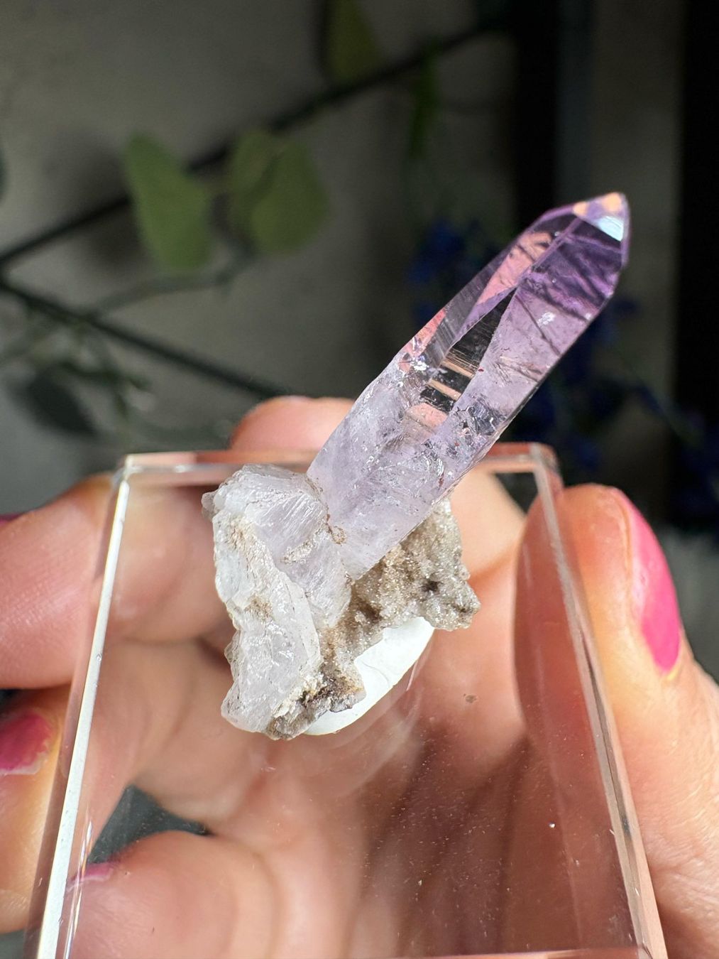 Pietre preziose: Veracruz Amethyst – Nuovo (secondo la descrizione) da Neuheim venduto da m.hald 2