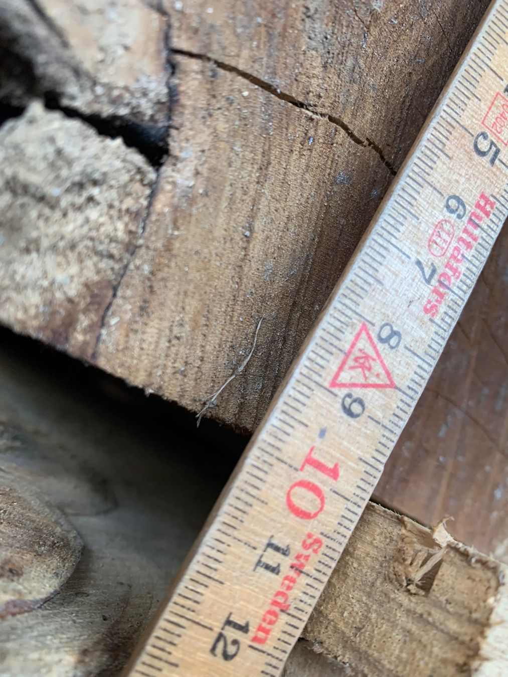 Articoli in legno: Bretter Kirschbaum – Nuovo (secondo la descrizione) da Holziken venduto da Timbergrizzly 5