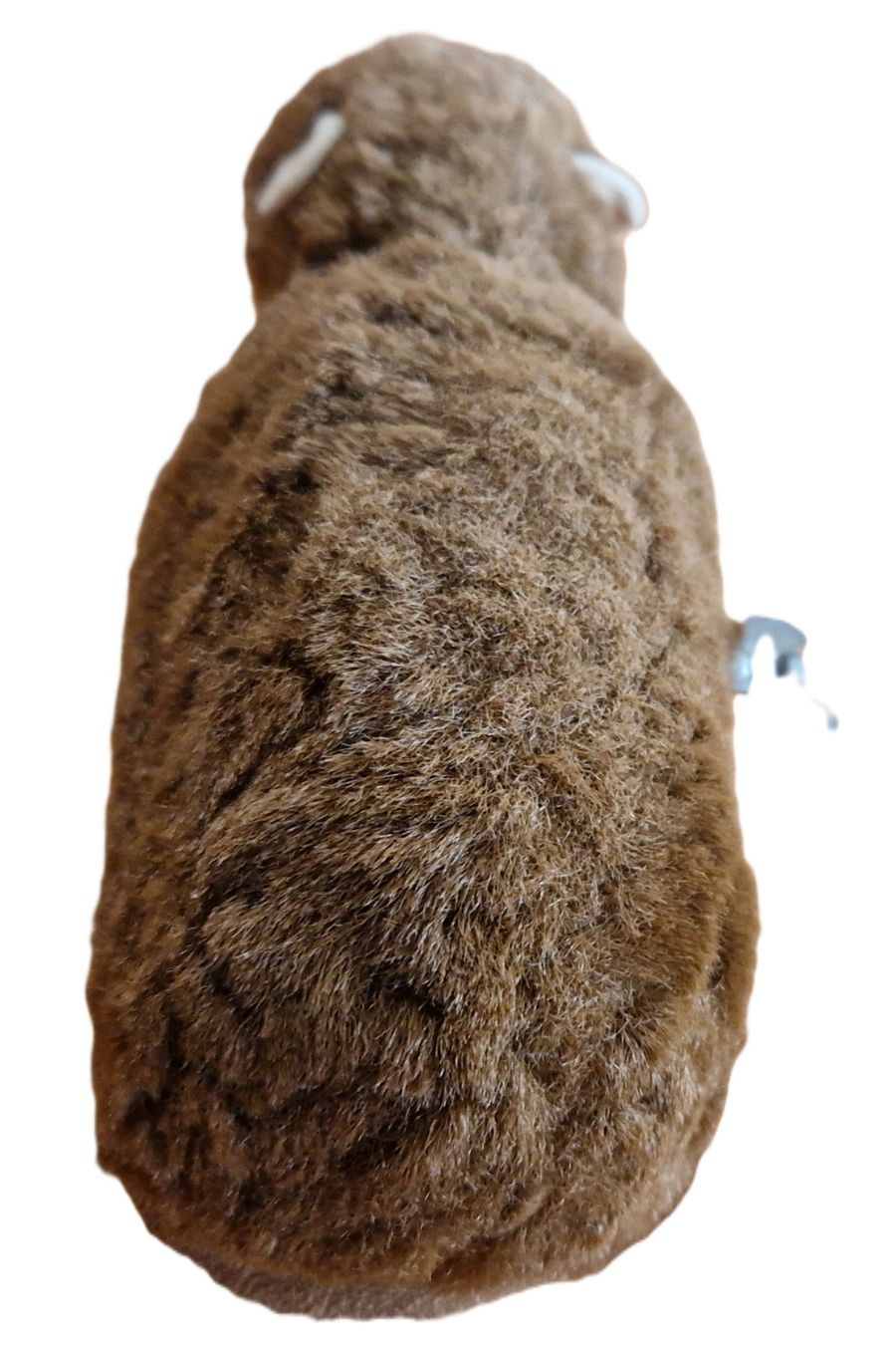 Giocattoli: Ancien ours à clé / Alter Schlüsselbär – Usato da Villarepos venduto da Discorine07 4