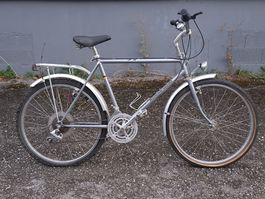 Rudi Altig Mountain Cruiser gris vintage 26'