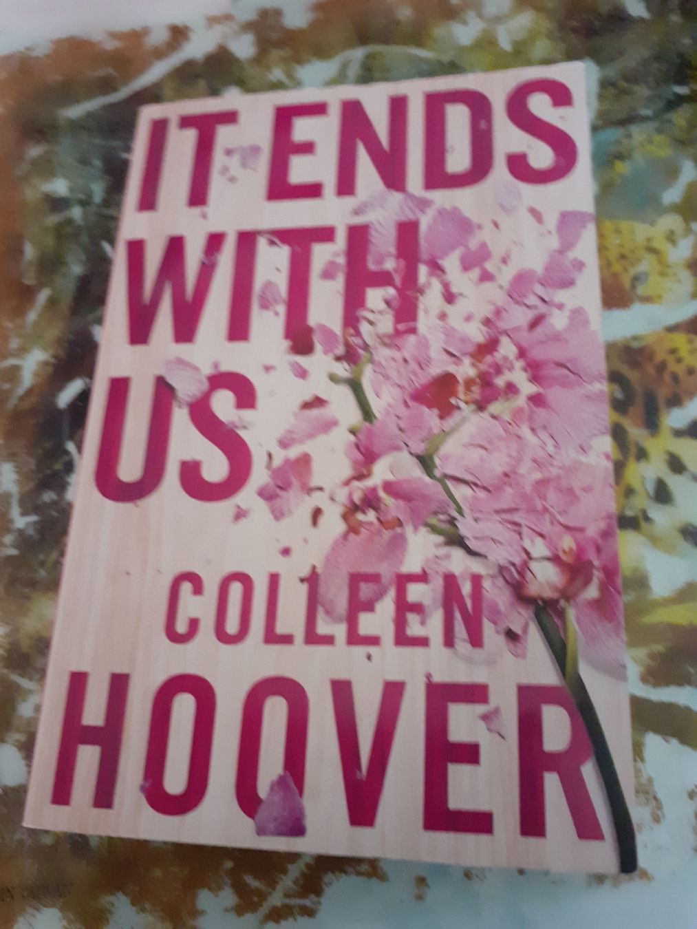 Livres: Buch Colleen Hoover "It Ends With Us" – D'occasion à Kloten par elb_9qvr