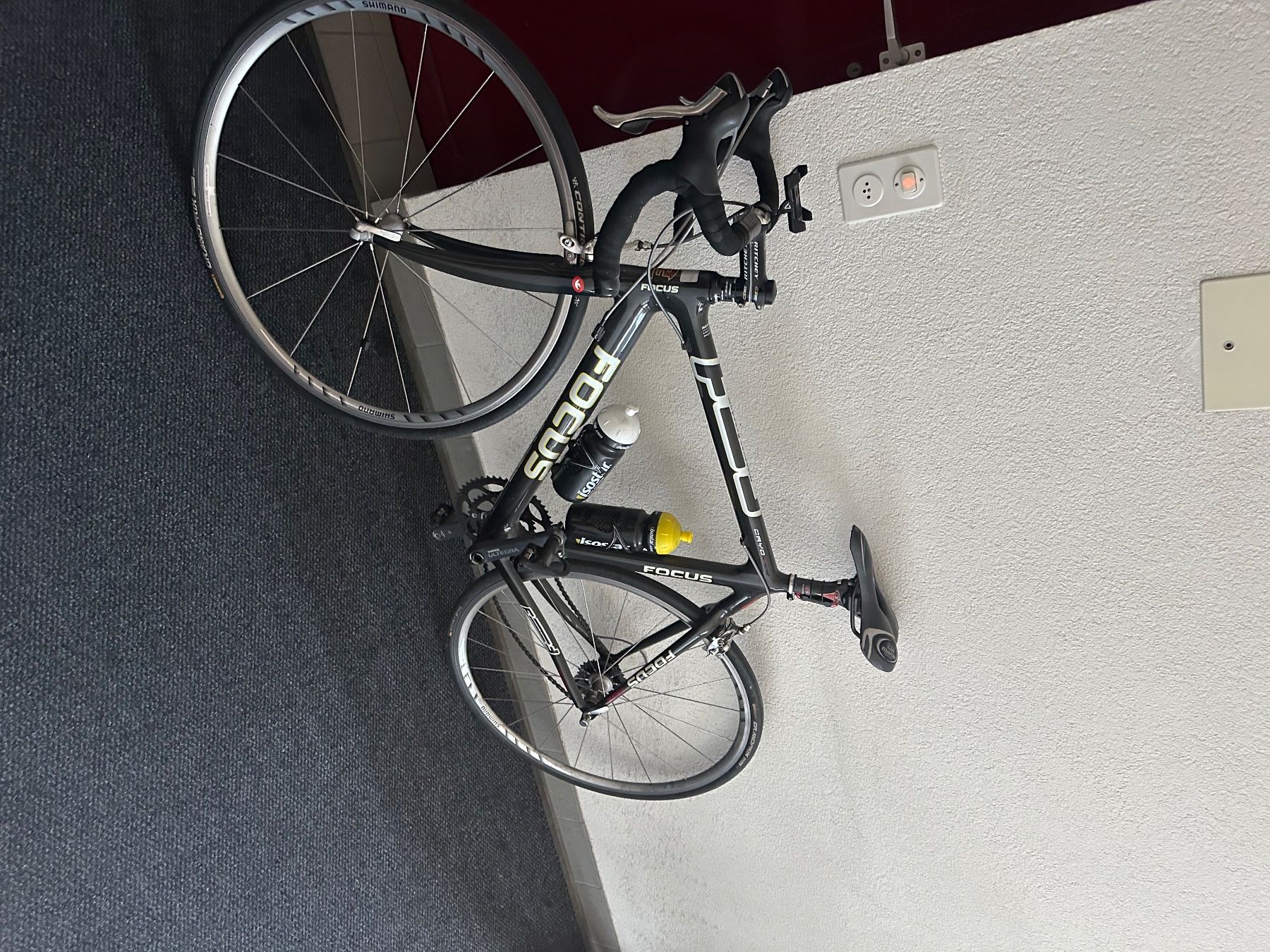 Focus Vélos: Rennrad Focus, Carbon, gebraucht – D'occasion à Appenzell par Done77