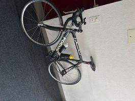 Rennrad Focus, Carbon, gebraucht