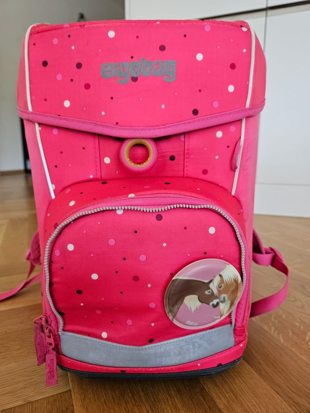 Ergobag Kindertaschen: Ergobag Schulrucksack – Gebraucht aus Wädenswil von rh5_9zkw