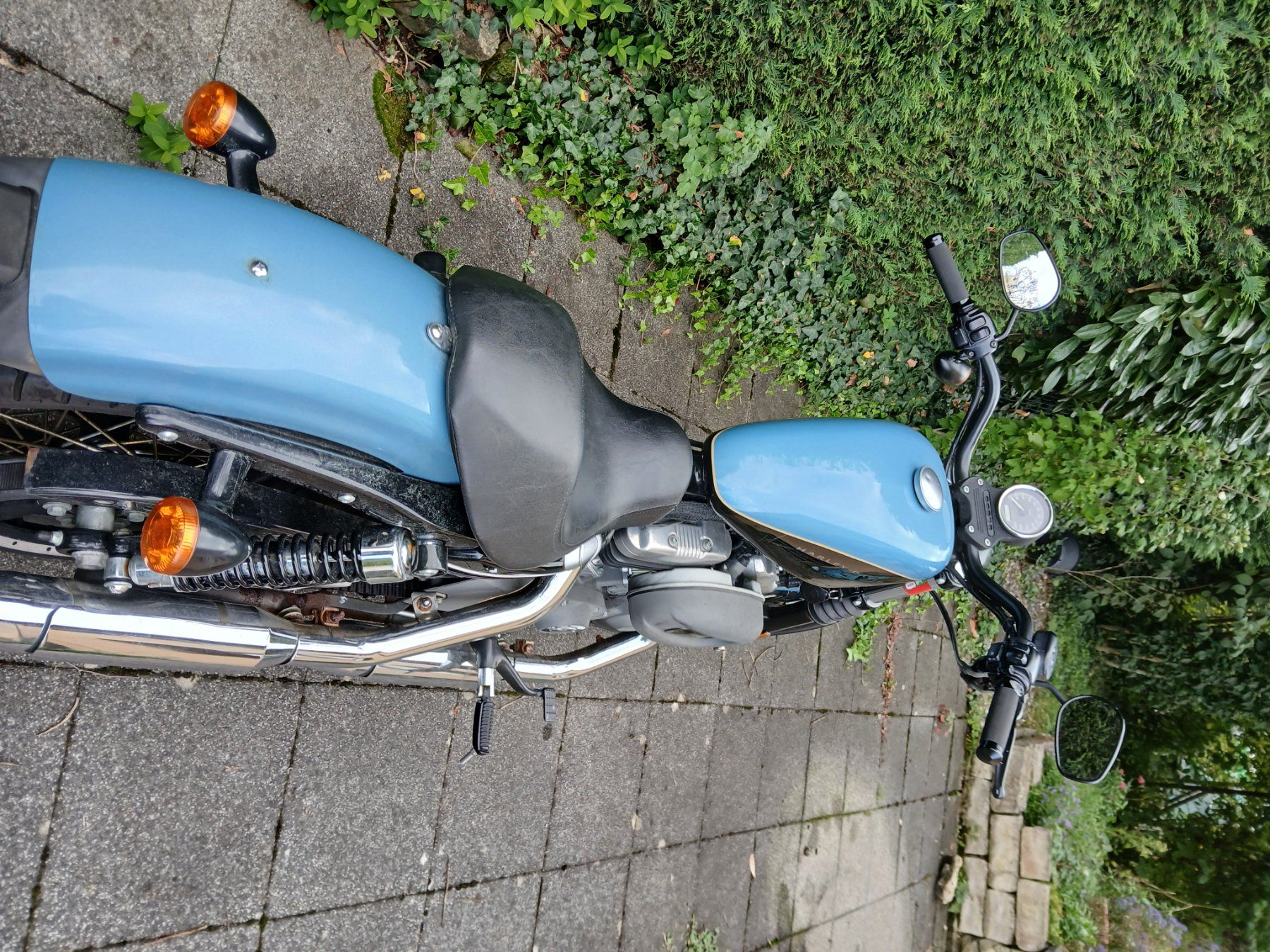 Harley-Davidson Chopper: Harley Davidson XL1200N – Usato da Birsfelden venduto da fab_sc2j 3