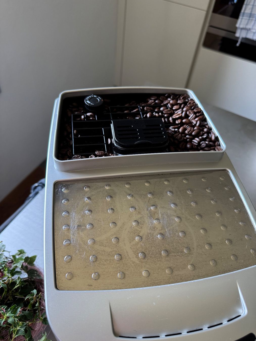 De'Longhi Macchine per caffè & Macchine per espresso: De Longhi Magnifica S Kaffeemaschiene – Usato da Emmenbrücke venduto da Lou_Portmann 1