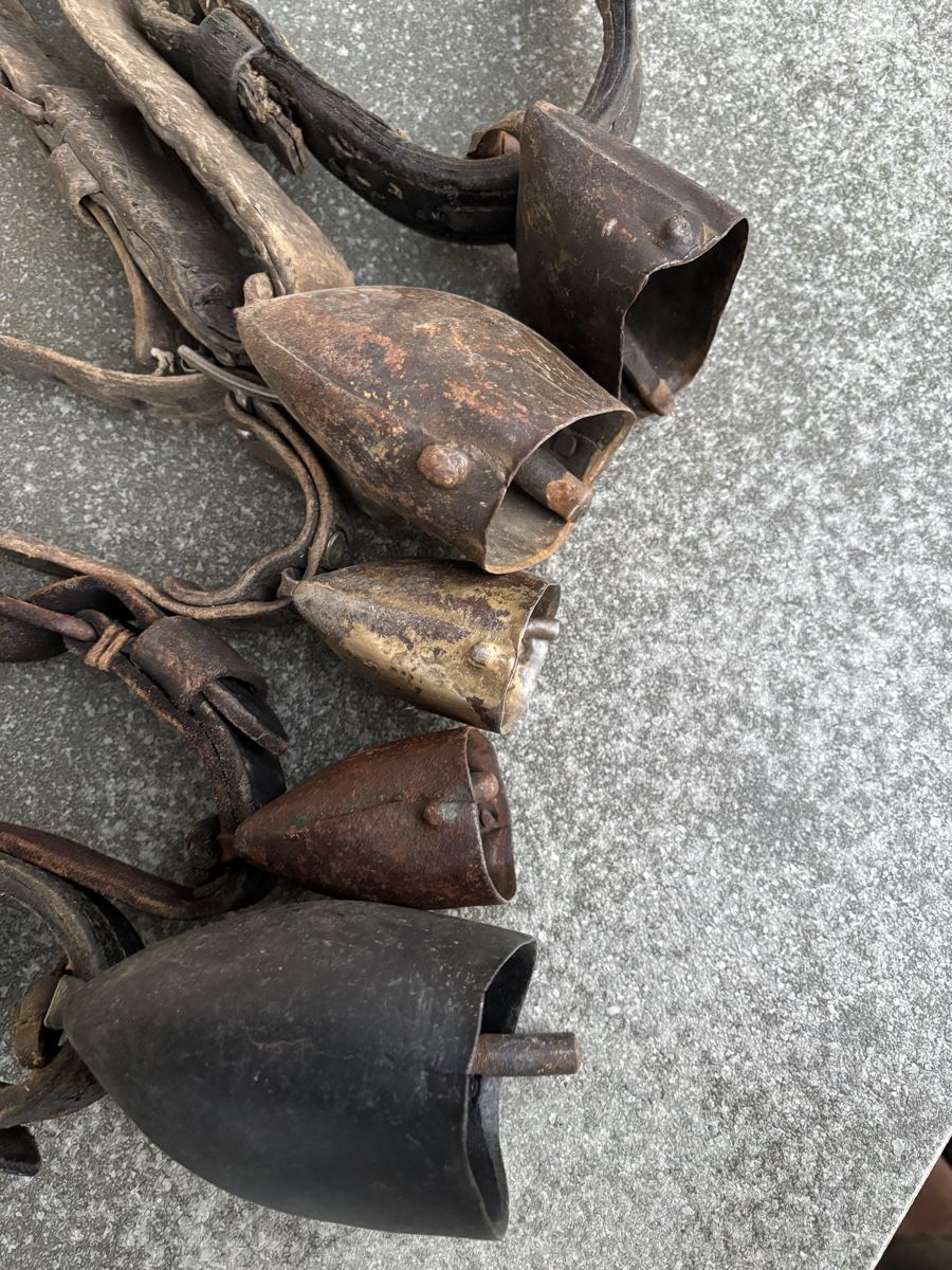 Campanacci mucche: 5 Alte Schaftreicheln. – Usato da Schangnau venduto da Roseggli82 5