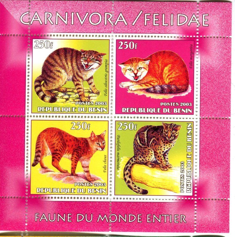 Tutti i francobolli: Block "Wildkatze, Rohrkatze, Marmorkatze". Benin. – Nuovo e nell'imballaggio originale da Basel venduto da Butsch5
