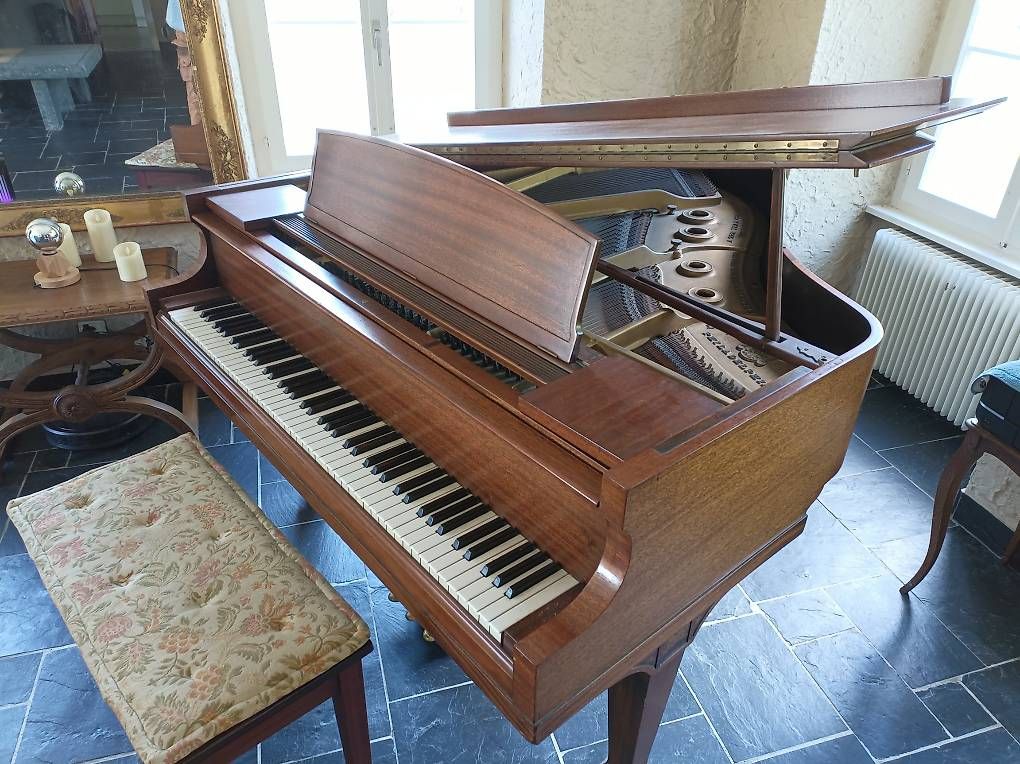 Strumenti musicali: Lester grand piano – Usato da Arvillard (Salins) venduto da spirit-chris 2