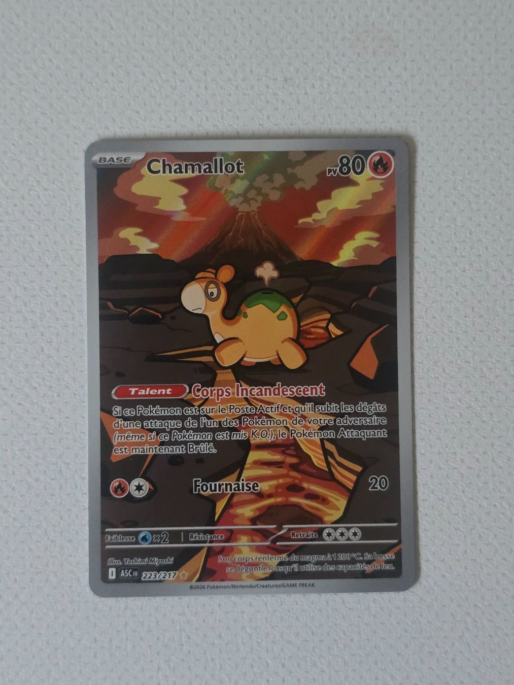 Pokémon Carte collezionabili: Chamallot Héros Transcendant 223/217 – Nuovo (secondo la descrizione) da Genève venduto da jam_wlf6