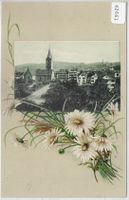 St. Gallen - St. Magnikirche - Blumen-Litho