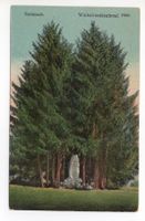 SEMPACH Winkelrieddenkmal 1660