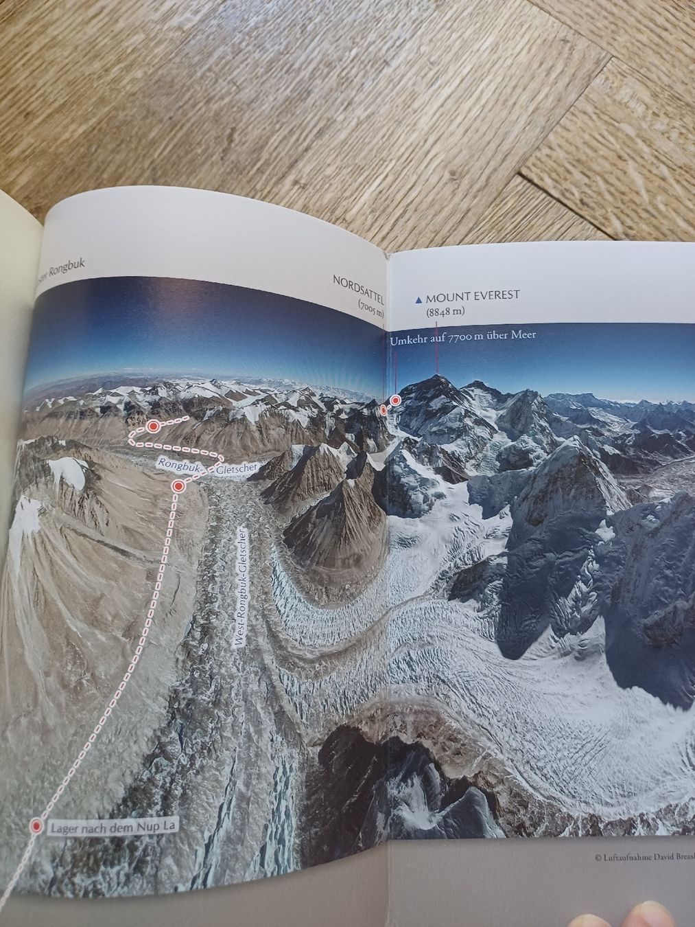 Libri: Buch Illegal am Everest von Hans-Peter Duttle – Nuovo (secondo la descrizione) da Bern venduto da rikivip 5