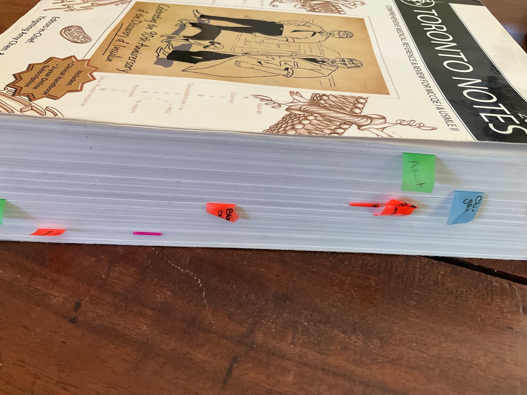 Bücher: Toronto Notes 2011 - Référence médicale complète – Gebraucht aus Avenches von Lactobacille 1