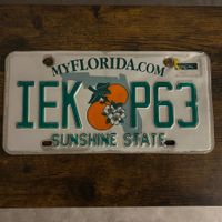 🇺🇸 U.S. Autoschild, Florida IEK P63 - ORIGINAL