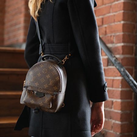 ORIGINAL Louis Vuitton Palm Springs Mini backpack Monogram