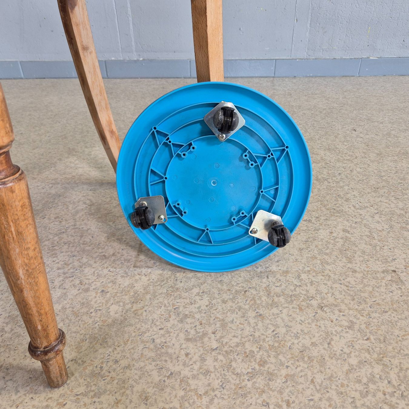 Altro per la casa: Blumenständer Pflanzenroller Blumenhocker Blumenroller – Usato da Nottwil venduto da Wondewa-Shop 5