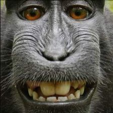 Profile image of zip_r8kv