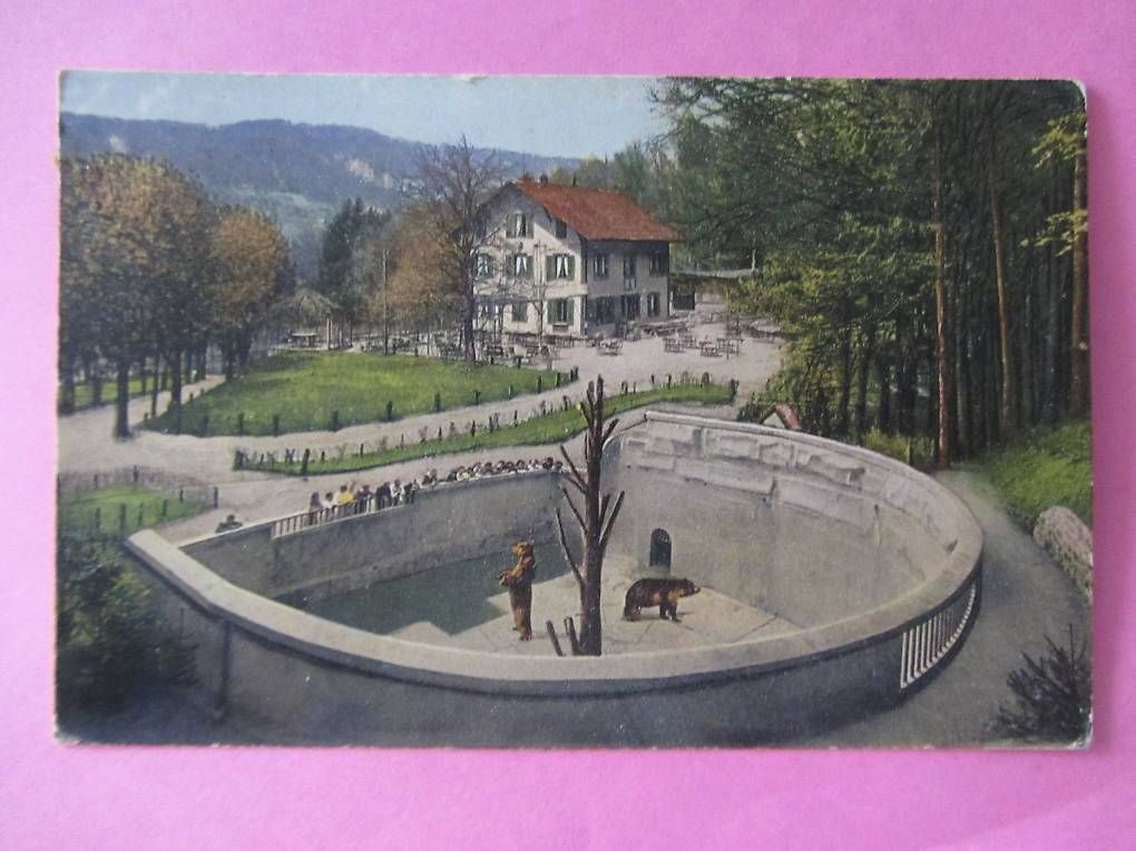 Ansichtskarten: Ansichtskarte Wildpark Langenberg Langnau a. Albis, u. 1920 – Gebraucht aus Malters von Hausi88