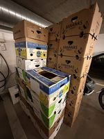 Lot de cartons de bananes pour déménagement 