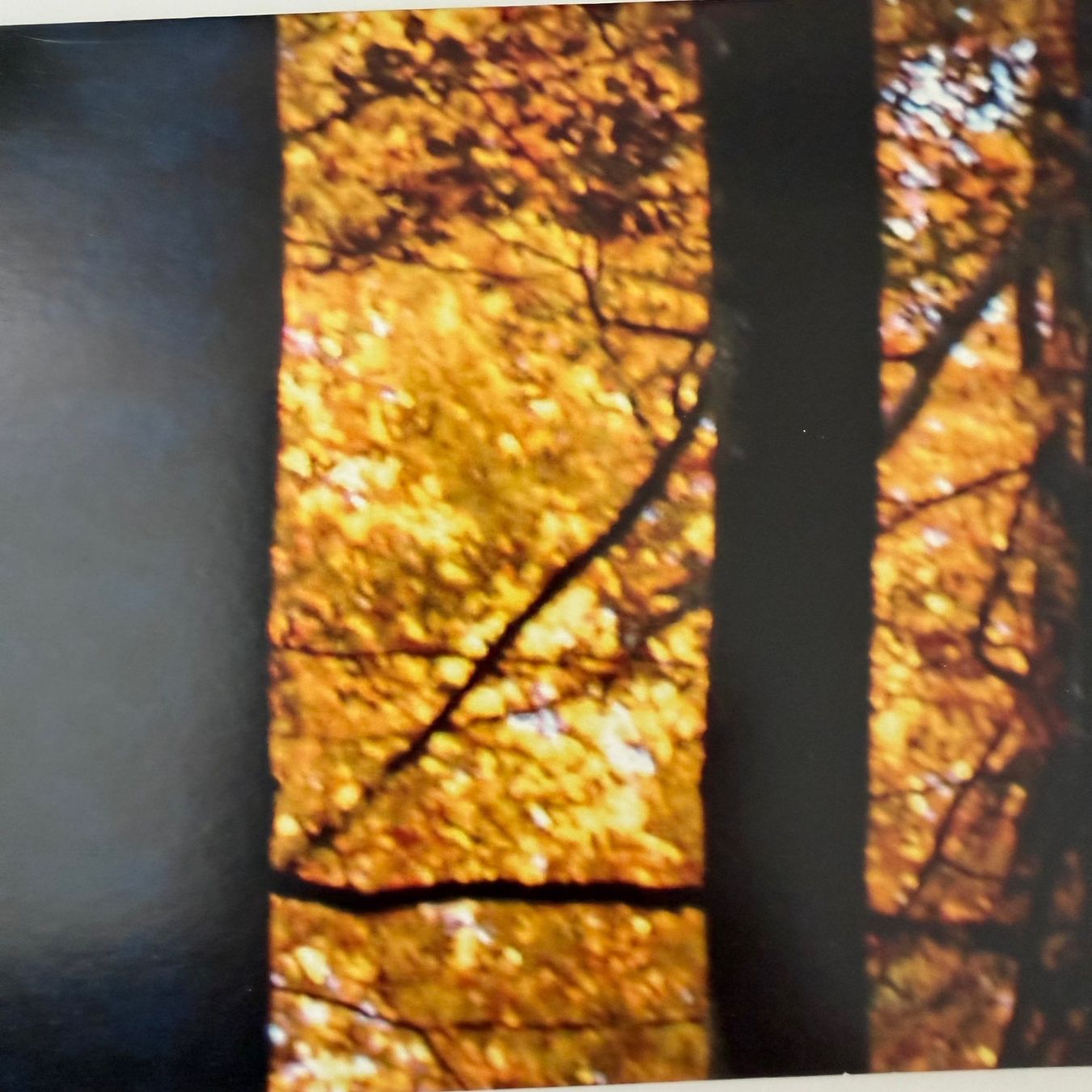 CDs: Hellmüller Risso Papaux, Waiting For You (2CD Unit) – D'occasion à Zug par Mirare9 4
