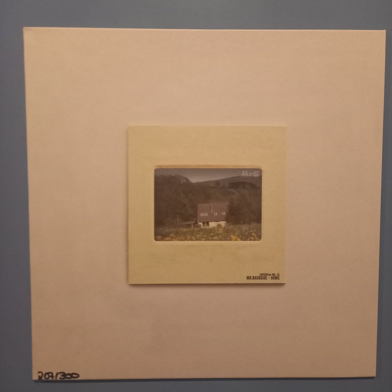 Schallplatten: Mr. Backside ‎– EXPEDITion Vol. 12  LP 2016 – Neu und originalverpackt aus münchenstein von karl_heinz_krasser