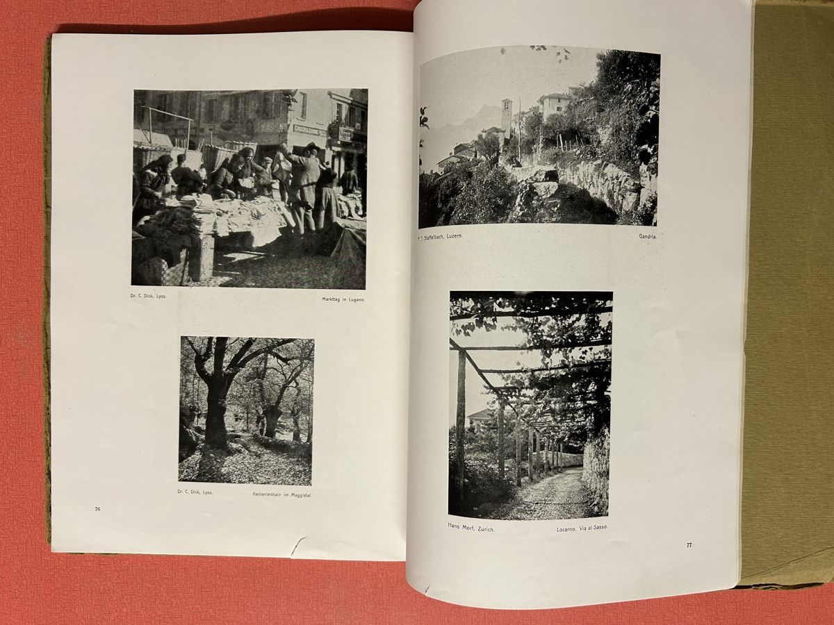 Libri: Antikes Buch: Schweizerland, Heimatland, 1916 – Usato da Lanzenhäusern venduto da vic63 5