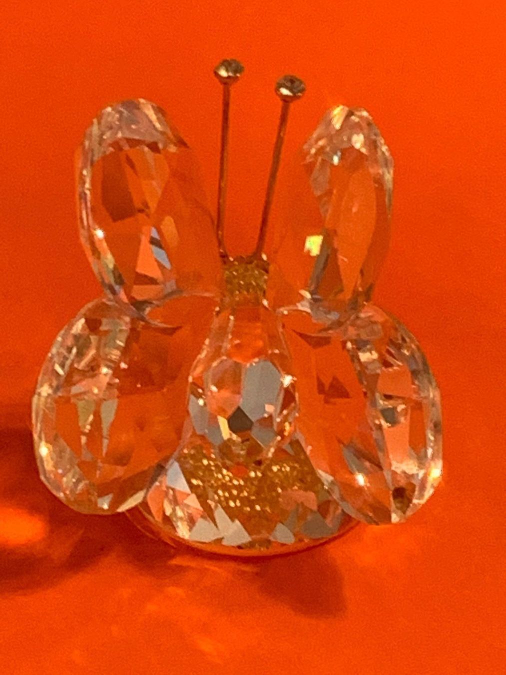 Swarovski Figuren: Swarovski Grosser Schmetterling – Neu (gemäss Beschreibung) aus Oberglatt ZH von Multimix 3