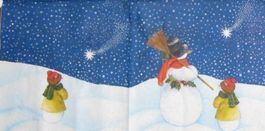 Serviette frosty (w289) 2Stk.