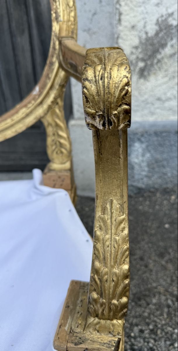Divani: Carcasse de canapé doré style Louis XVI – Difettoso da Les Bayards venduto da aout 2