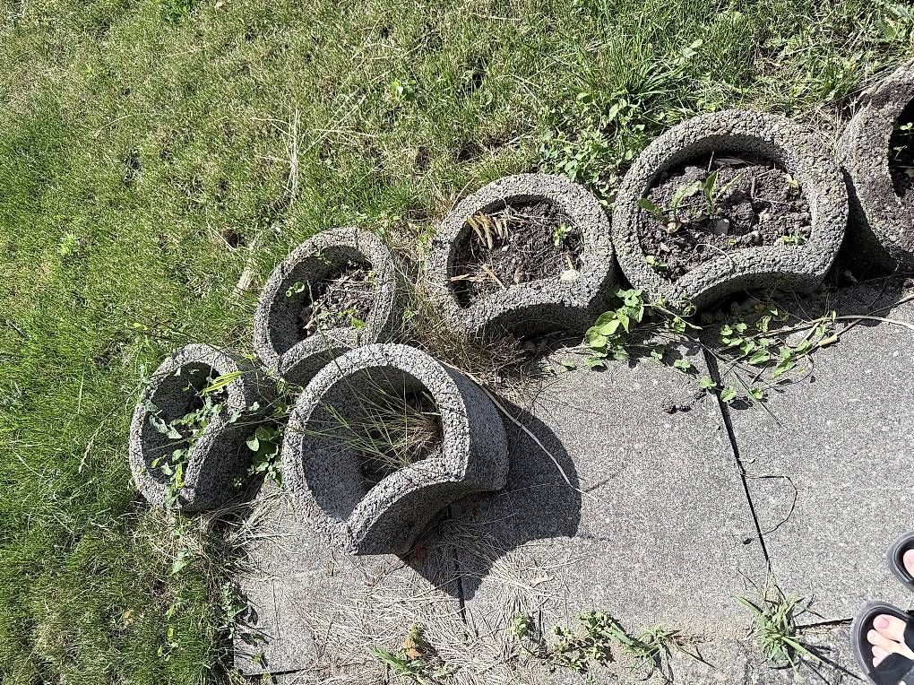 Pots de fleurs: 7x Pflanzring – D'occasion à Langenthal par AliceAmmann