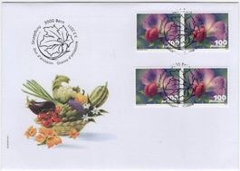 100 Rp. Kiefelerbse Marken Paare auf illustriertem FDC