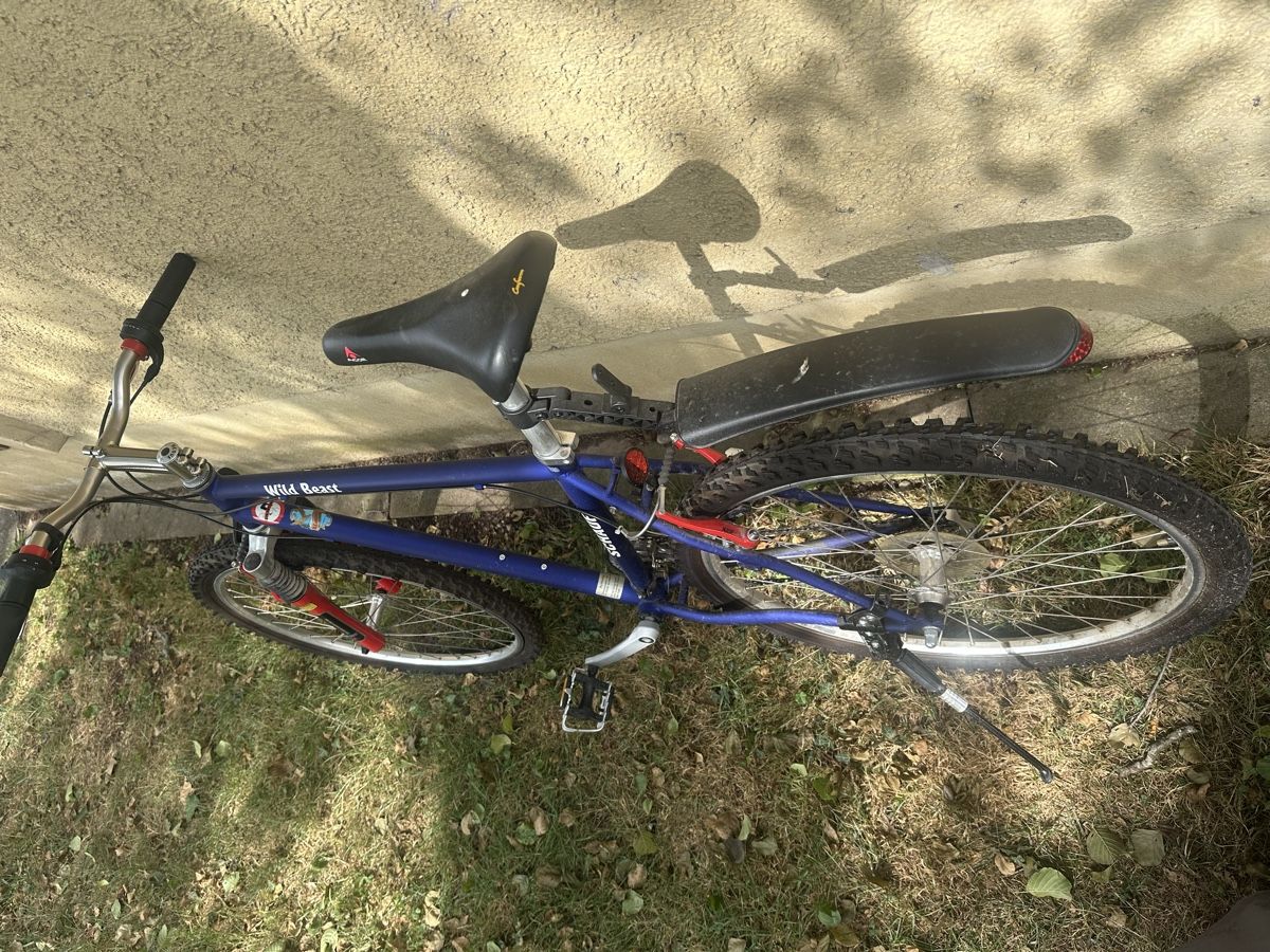 Velos: Schauff Velo  – Gebraucht aus Uster von bek_v2ct